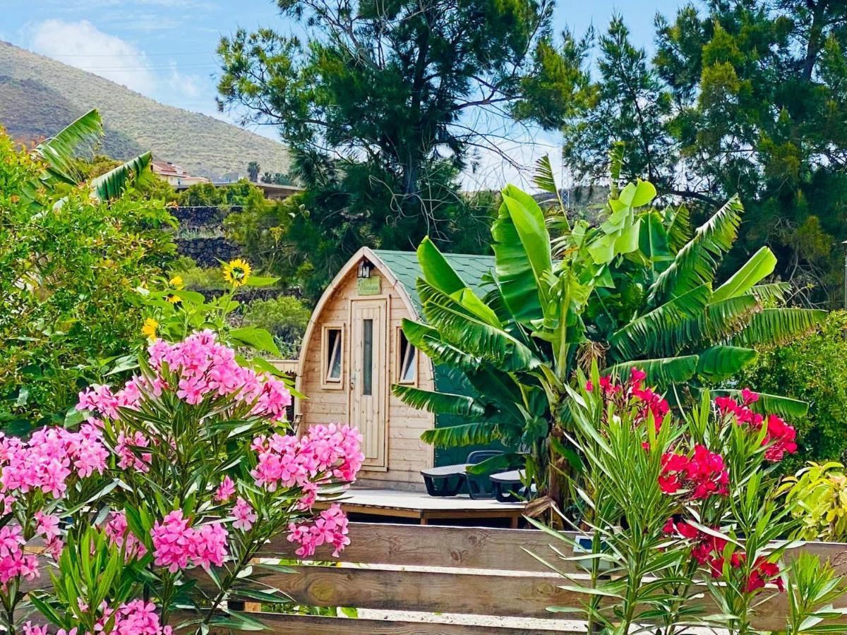 Amani Suite Con Jacuzzi Climatizado Y Piscina Buzanada Extérieur photo