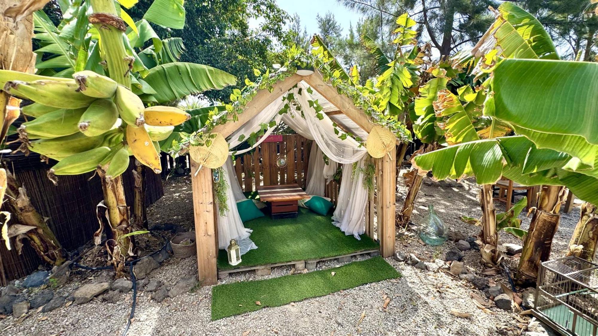 Amani Suite Con Jacuzzi Climatizado Y Piscina Buzanada Extérieur photo